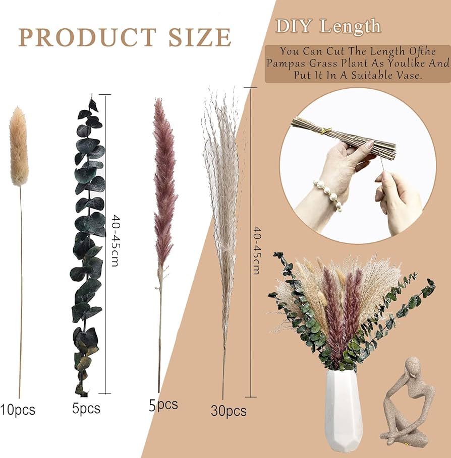 Commercial and Branded Content